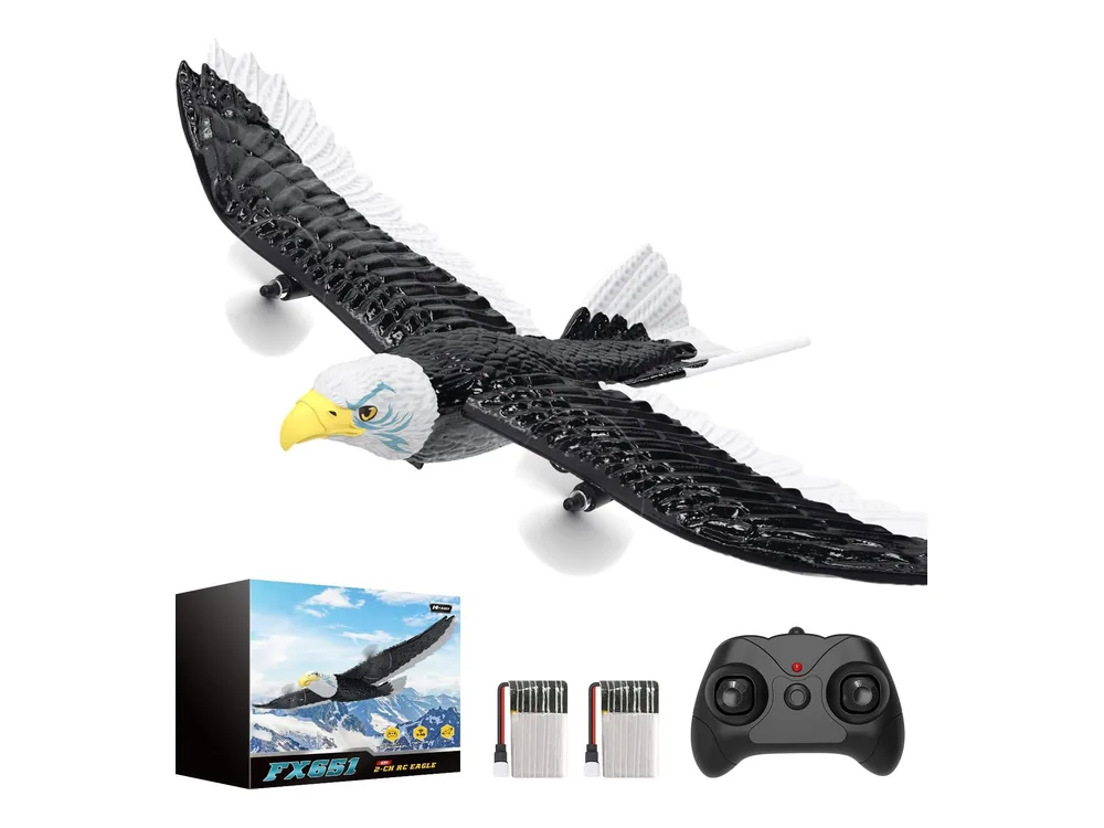 DEERC FX651 Eagle RC Plane — Black